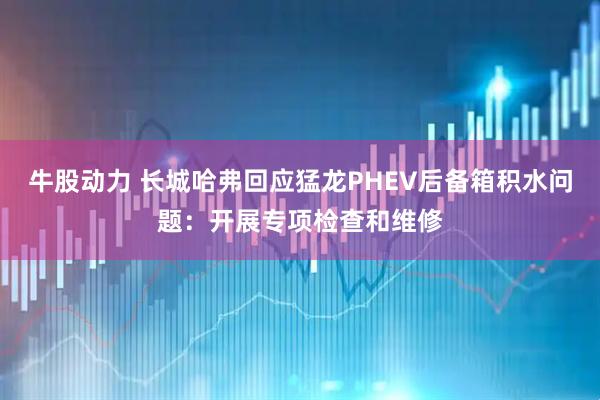牛股动力 长城哈弗回应猛龙PHEV后备箱积水问题：开展专项检查和维修