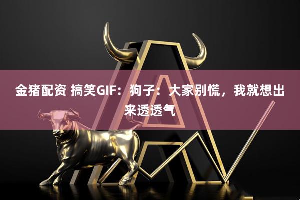 金猪配资 搞笑GIF：狗子：大家别慌，我就想出来透透气